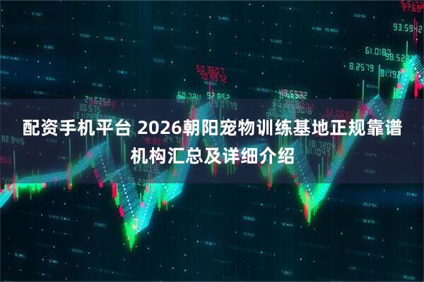 配资手机平台 2026朝阳宠物训练基地正规靠谱机构汇总及详细介绍